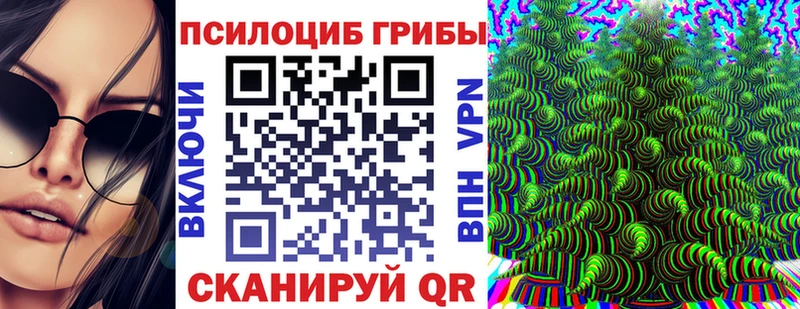 Купить где Богородск Псилоцибиновые грибы мицелий